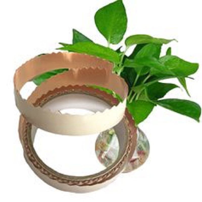 snail tape.jpg snail tape.jpg