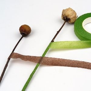 Brown Floral Tape.jpg Brown Floral Tape.jpg