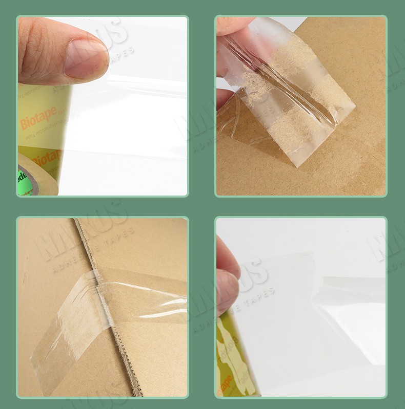 biodegradable packing tape.jpg biodegradable packing tape.jpg